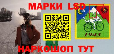 бошки Сланцы