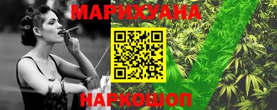 гидра Славгород
