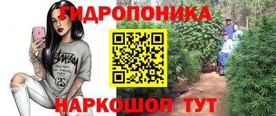 гидра Славгород