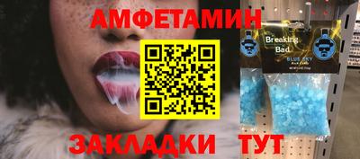гидра Славгород