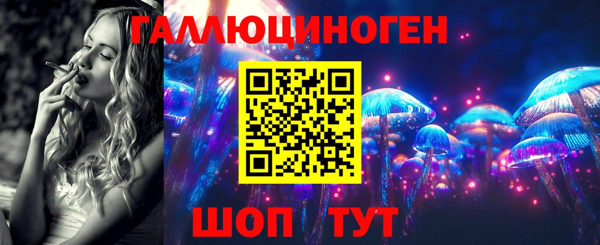 Галлюциногенные грибы Psilocybine cubensis  Вход с VPN  Псилоцибиновые грибы Cubensis  Белорецк 
